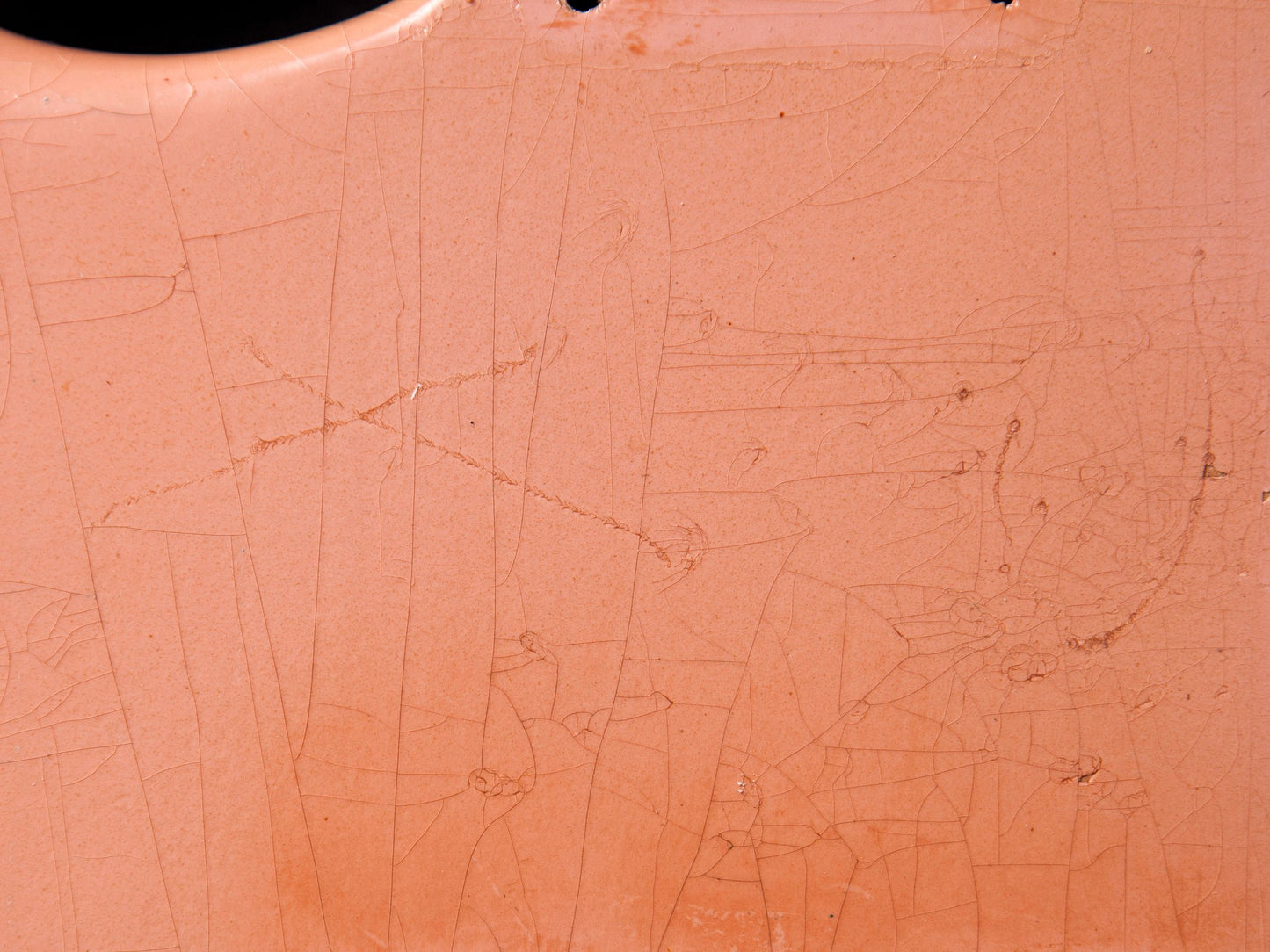 Shell Pink SC Body GE0294