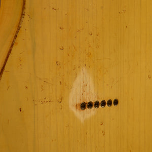 1 Piece Swamp Ash TC Body, Pickguard & Hardware
