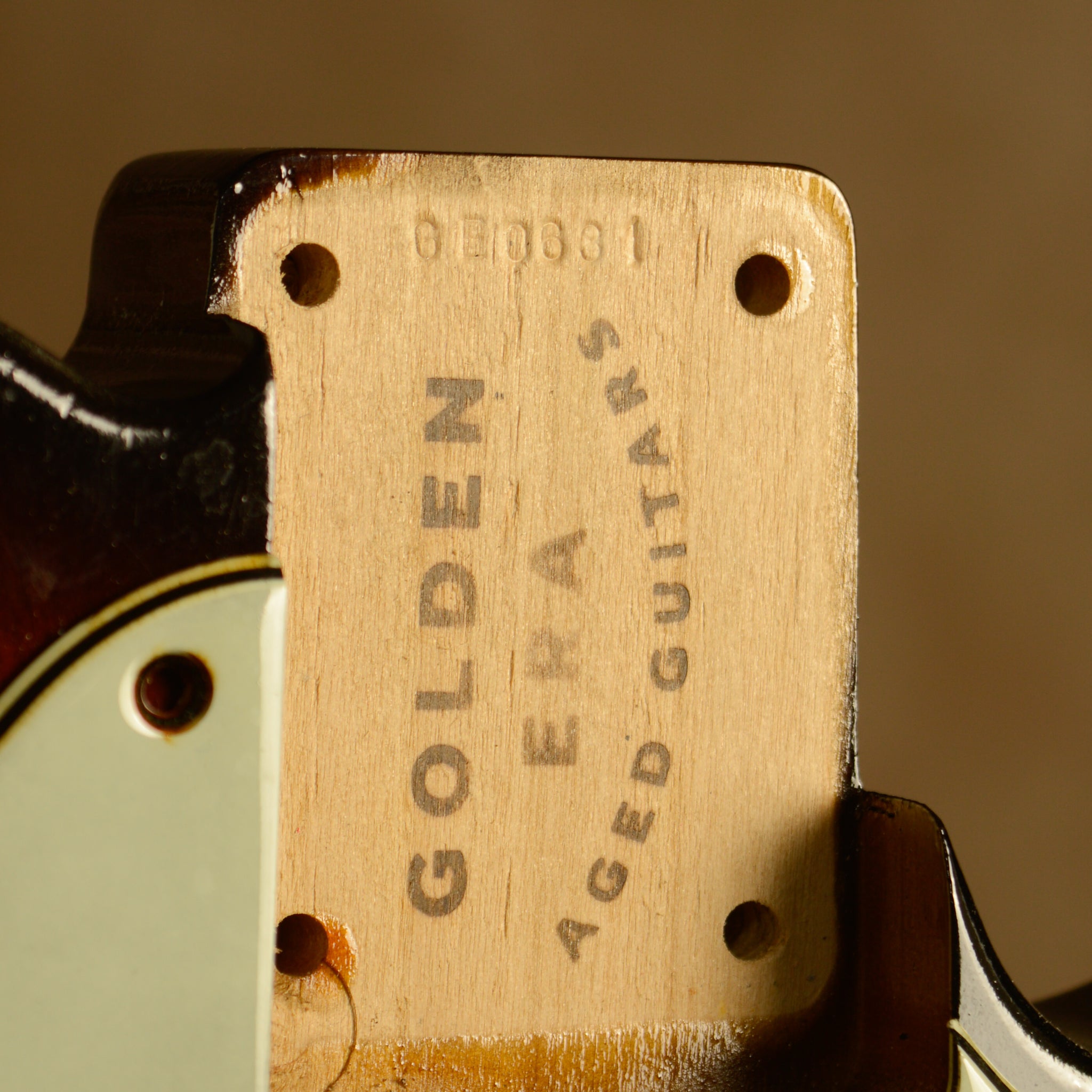 Faded Sunburst TC Body & Pickguard GE0631