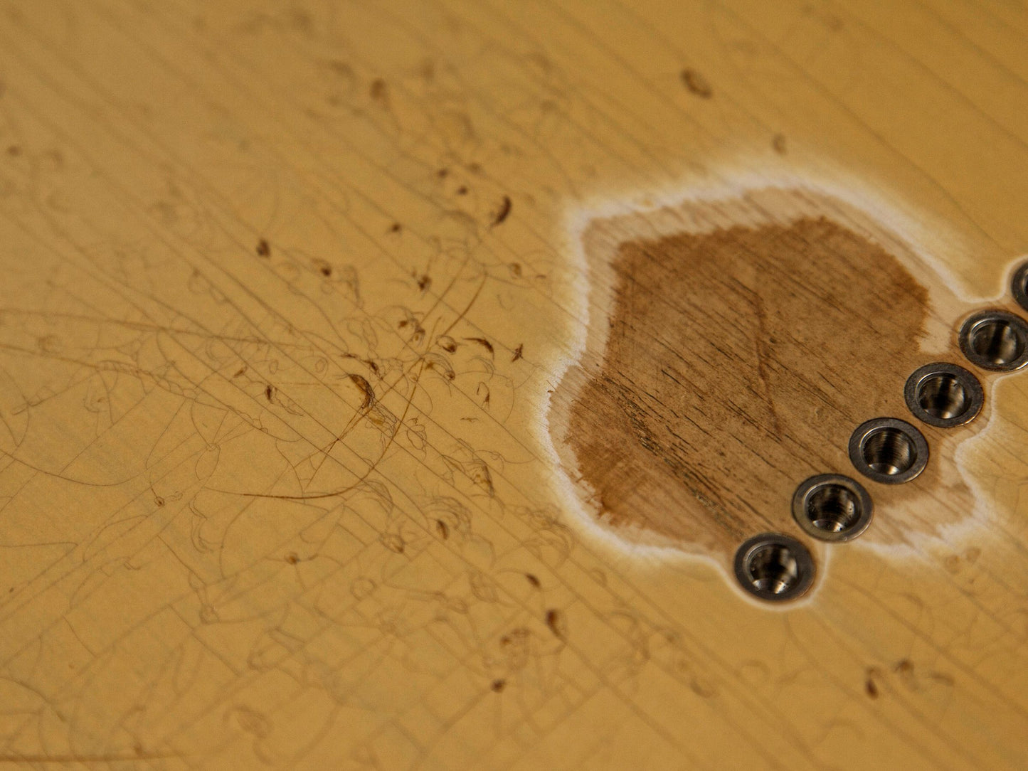 One Piece Swamp Ash Blonde TC Body GE0265