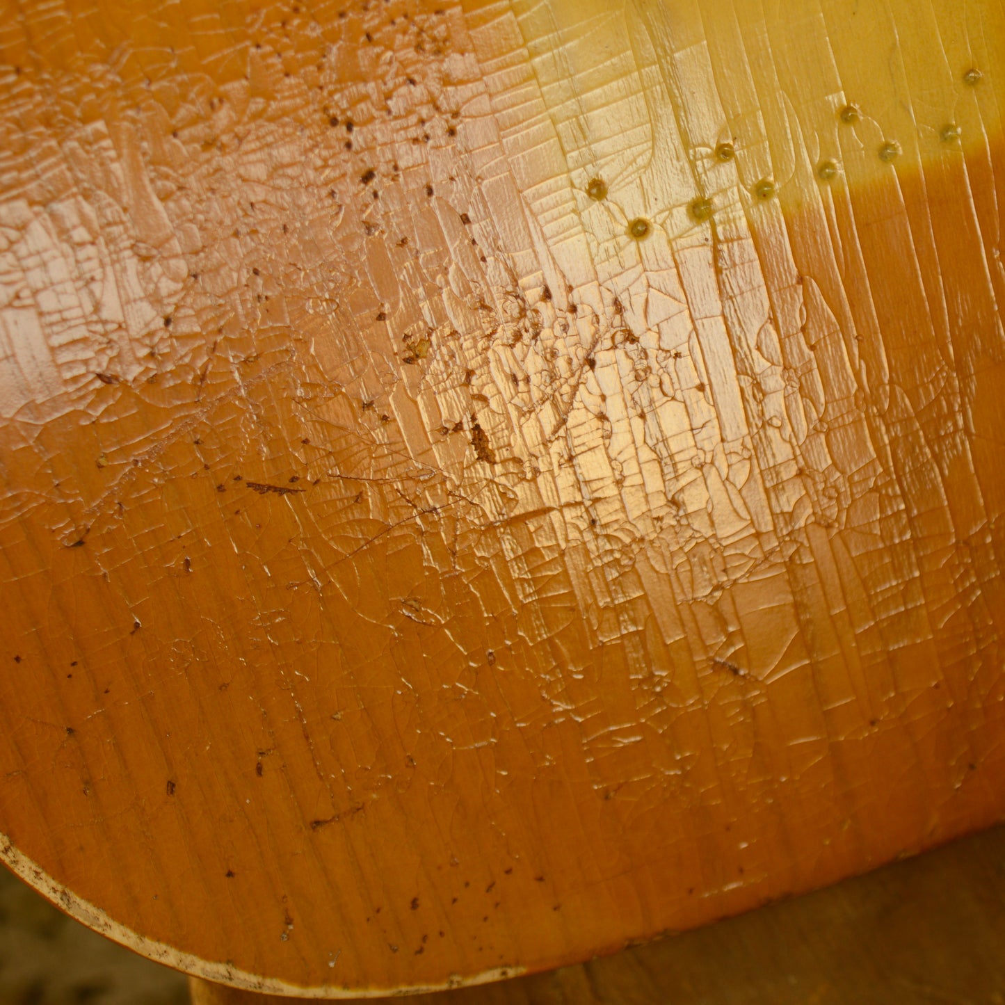 One Piece Swamp Ash Blonde TC Body GE0682