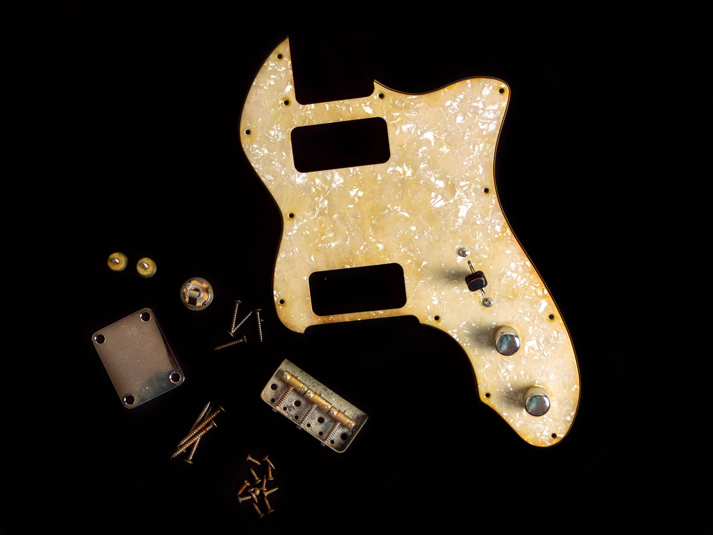 Hardware Loaded Paisley Thinline Body GE0085